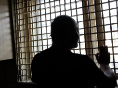 «Паук» взялся за старое: в Подмосковье задержан зэк из Тольятти, похищавший детей, сидя в тюрьме 