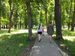 Парк 60-летия Советской власти в Самаре включили в зелёный пояс города
