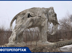 Дом со слонами: публикуем уникальные кадры реставрации Дачи купца Головкина