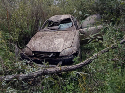 В Самарской области спасли водителя, съехавшего в кювет