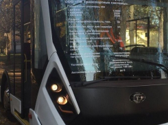 Власти на деньги налогоплательщиков срочно купили саратовские троллейбусы