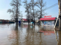 В Богатовском районе введён режим ЧС из-за паводка