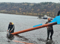 В Куйбышевское водохранилище выпустили молодь стерляди и сазана