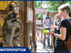 В живом уголке «Сказка» можно понаблюдать за животными и пообщаться с ними