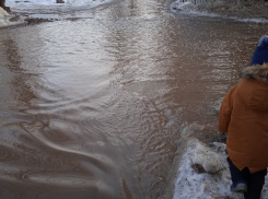 Жители Куйбышевского района жалуются на огромные лужи и бродячих собак