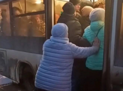 Как в Японии: в Волгаре пассажиров приходится утрамбовывать в автобус 