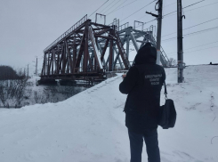 В Самарской области охранник железнодорожного моста погиб под поездом