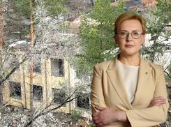«Снос остановлен»: после новой волны возмущений по поводу демонтажа здания детского сада «Петушок» мэр Самары сделала заявление