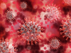 Число умерших от коронавируса в Самарской области достигло 2 тыс человек
