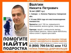 В Самарской области 10 месяцев ищут 16-летнего парня, удалившего соцсети в день исчезновения