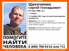 «Не понимаешь, что делать, но не делать ничего невозможно»: семья месяц ищет пропавшего самарца Сергея Щекочихина