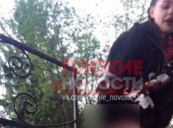 Неадекватная девушка на самарском кладбище разговаривала с умершим и осквернила могилу
