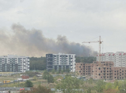 В Тольятти задержали поджигателя леса