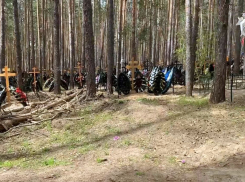 В Самарской области чиновник получил условный срок за незаконные захоронения в лесу