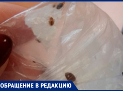 В самарской больнице пациентами кормят клопов