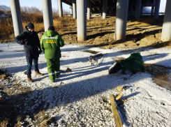 Жители Стройкерамики обнаружили сброс сточных вод