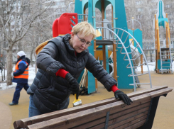 Елена Лапушкина приняла учатие в городском субботнике