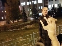 «Принимайте другие законы»: предводительница стаи бродячих собак ответила самарцам