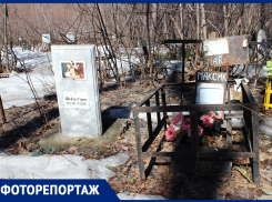 Всё, как у людей: кладбище домашних животных на Сорокиных хуторах «живёт своей жизнью»