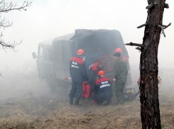 Пожар в Борском районе локализован