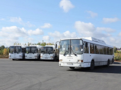 В Самарскую область в ближайшее время поставят 210 автобусов