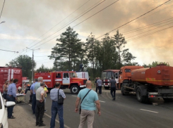 На месте лесного пожара в Тольятти нашли остатки канистры