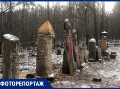 Место, где Дух сливается с серой сущностью: что происходит на капище в тольяттинском лесу