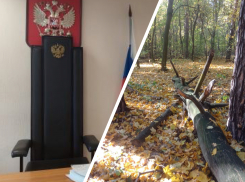 В Самаре чиновник Минлесхоза и лесничий получили реальные сроки за взятку в 100 тысяч рублей