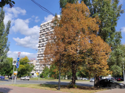 Последний день лета в Самаре будет солнечным и прохладным