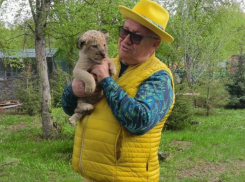 Алтай Алтайевич получил паспорт и скоро прилетит в Самару