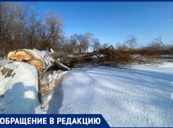 В Царевщине под Самарой планируют застроить пляж и спуск к Волге