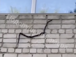 Незваная гостья: в Самаре на стене многоэтажного дома заметили змею