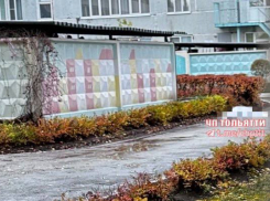 Зловещее утро в Тольятти: на улицах города нашли как минимум три трупа