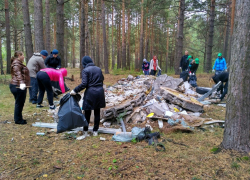 В Самаре грибники очистят лес от мусора
