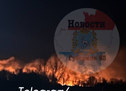 Сильный лесной пожар разгорелся около поселка Смышляевка 31 марта 