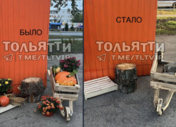 «Кушать хочется всегда»: в одной из кофеен Тольятти украли тыквы 