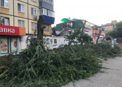 На двух улицах Самары беспощадно вырубили деревья