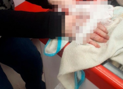 Второй за неделю кровавый случай нападения бродячих собак на людей произошёл в Тольятти