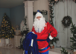Самарский Дед Мороз: озвучивает сериалы и веселит детей