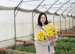 Весеннее настроение: к 8 Марта в Самарской области вырастили почти 85 тысяч тюльпанов