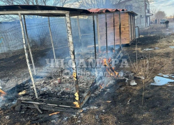 В Самарской области неизвестные подожгли вольер с бездомными собаками 
