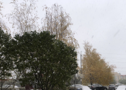 13 ноября на Самару обрушатся дожди, ветра и мокрый снег 