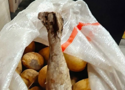 В День города в самарском магазине нашли миномётный снаряд в мешке с картошкой