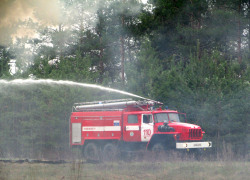 Люди видели и промолчали: пожар на ячменном поле у Красного Яра чуть не стал стихийным бедствием