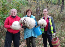 Жители Самарской области делятся фотографиями гигантских грибов