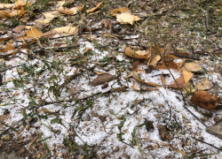 В среду в Самаре ожидается снегопад и гололёд