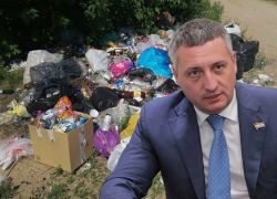 Депутаты усомнились в ликвидности мусорного завода в Тольятти