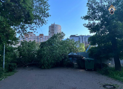 В Самаре на коляску с ребёнком упало дерево: возбуждено уголовное дело