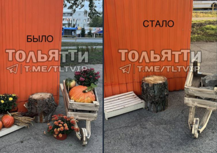 «Кушать хочется всегда»: в одной из кофеен Тольятти украли тыквы