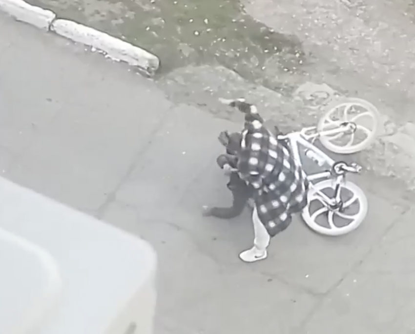 В Самарской области девушка толкнула велосипедиста ногой и жёстко избила